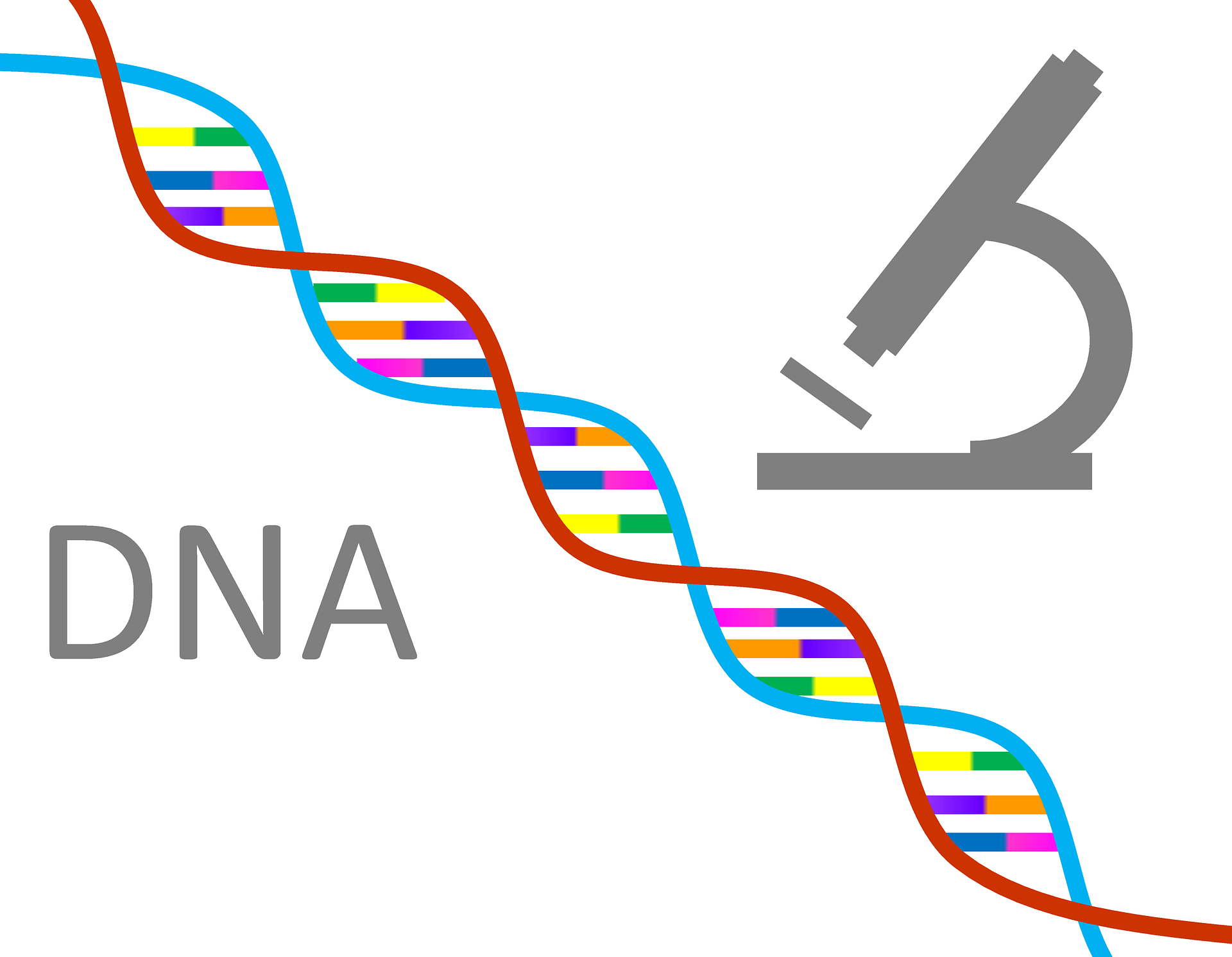 dna-10206701920-min.png